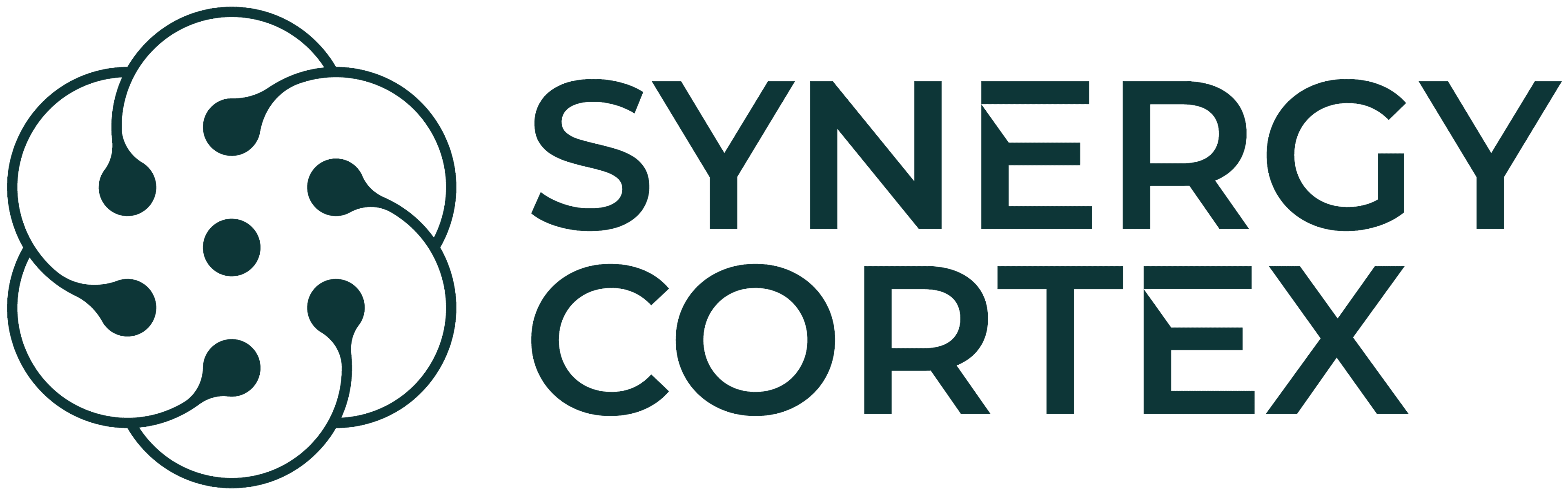 synergy-cortex